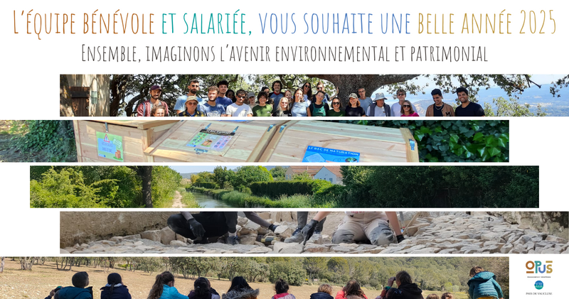 Bonne année 2025